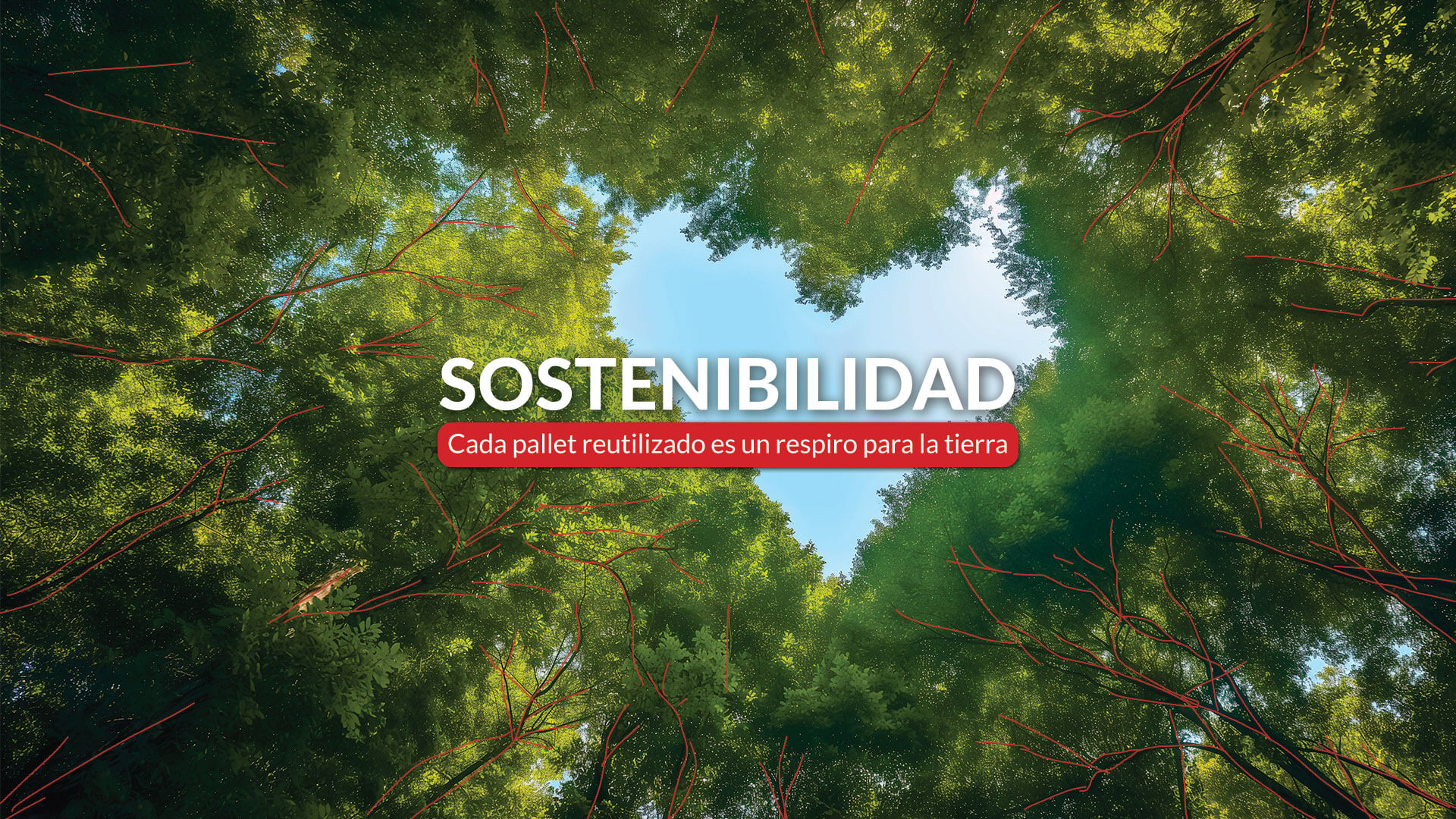 05 Sostenibilidad